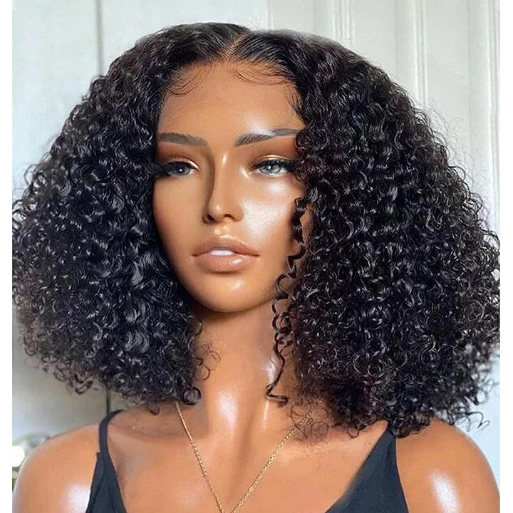 Pre Cut Curly Bob Wig Human Hair 5x5 HD Lace Closure Wigs